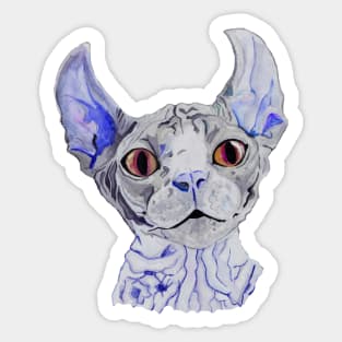 Violet sphynx cat Sticker